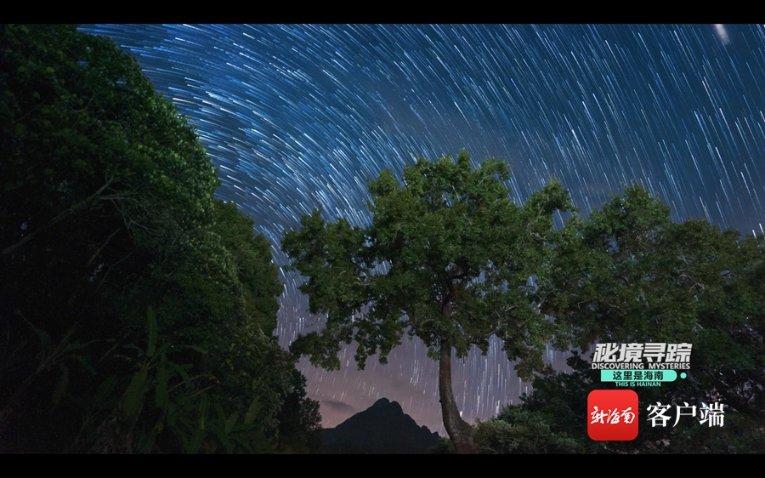 漯河：30项景区活动邀您来过大年！